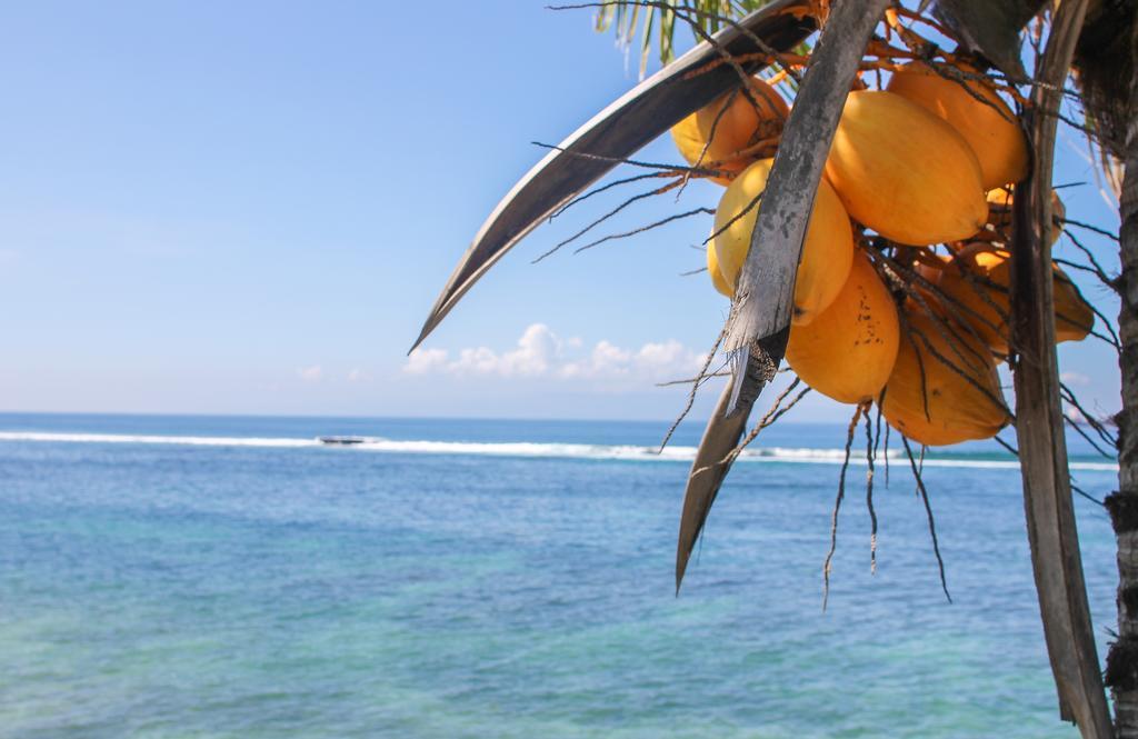 Sea Breeze Candidasa Dış mekan fotoğraf